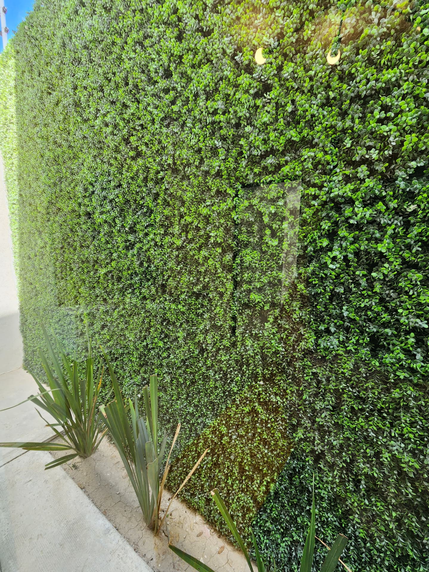 Patio de servicio con muro verde