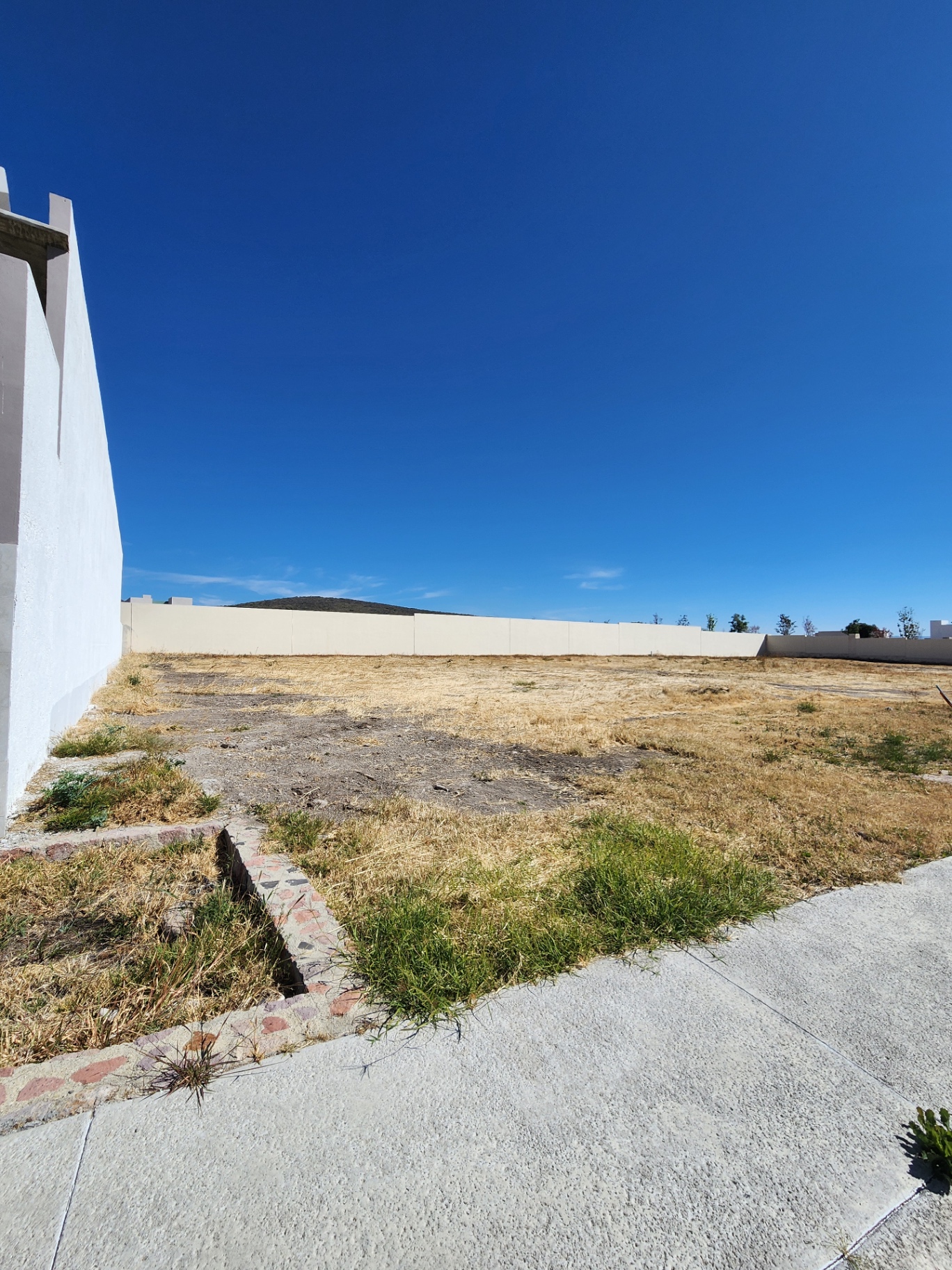 Vista panorámica del lote