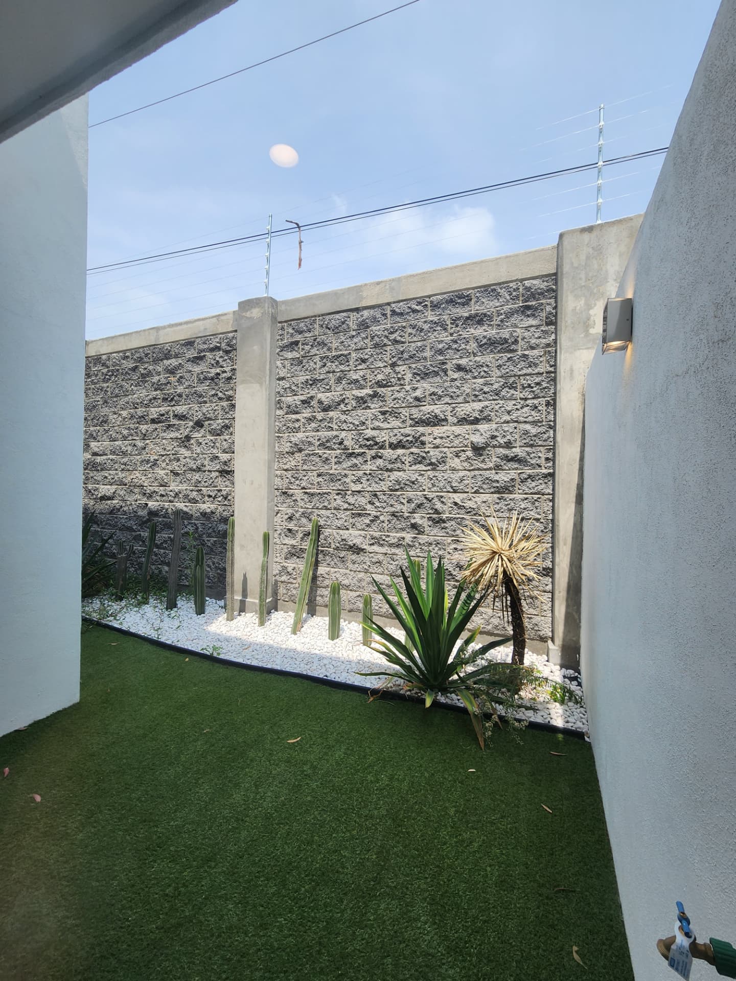 Jardín con pasto, jardinera de cactáceas y muro de piedra