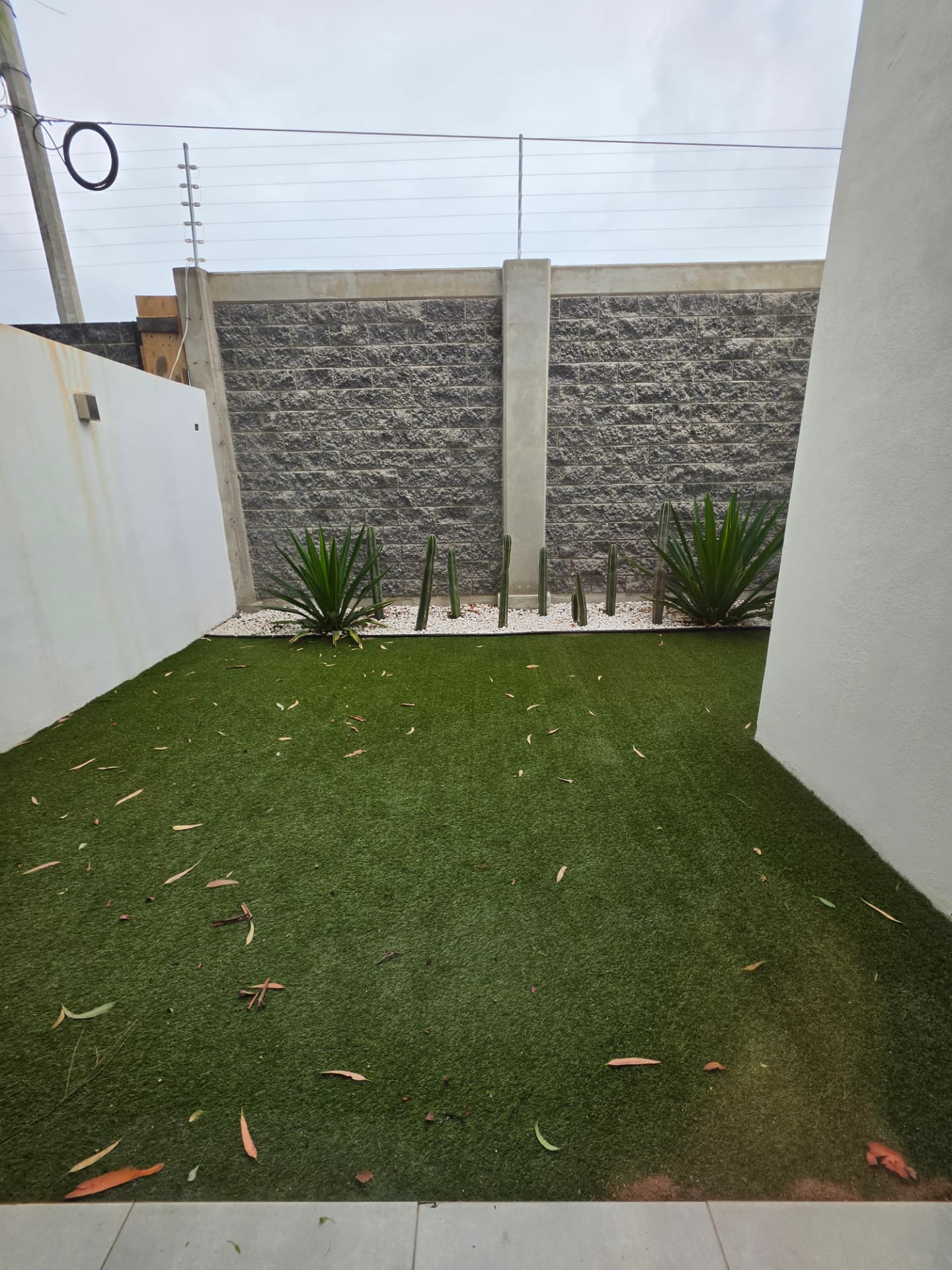 Jardín amplio con pasto y jardinera de cactáceas