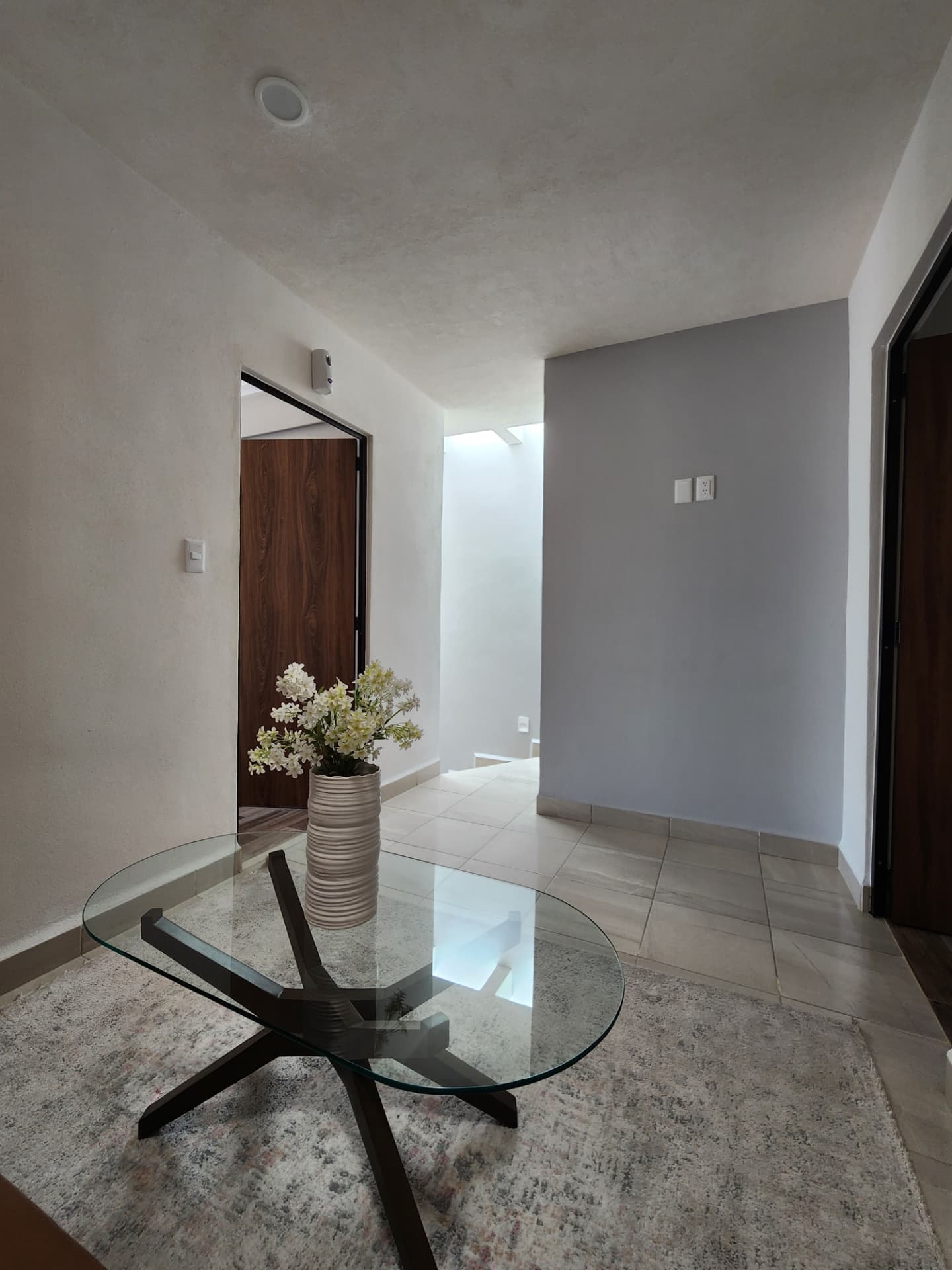 Sala de TV / distribuidor en planta alta