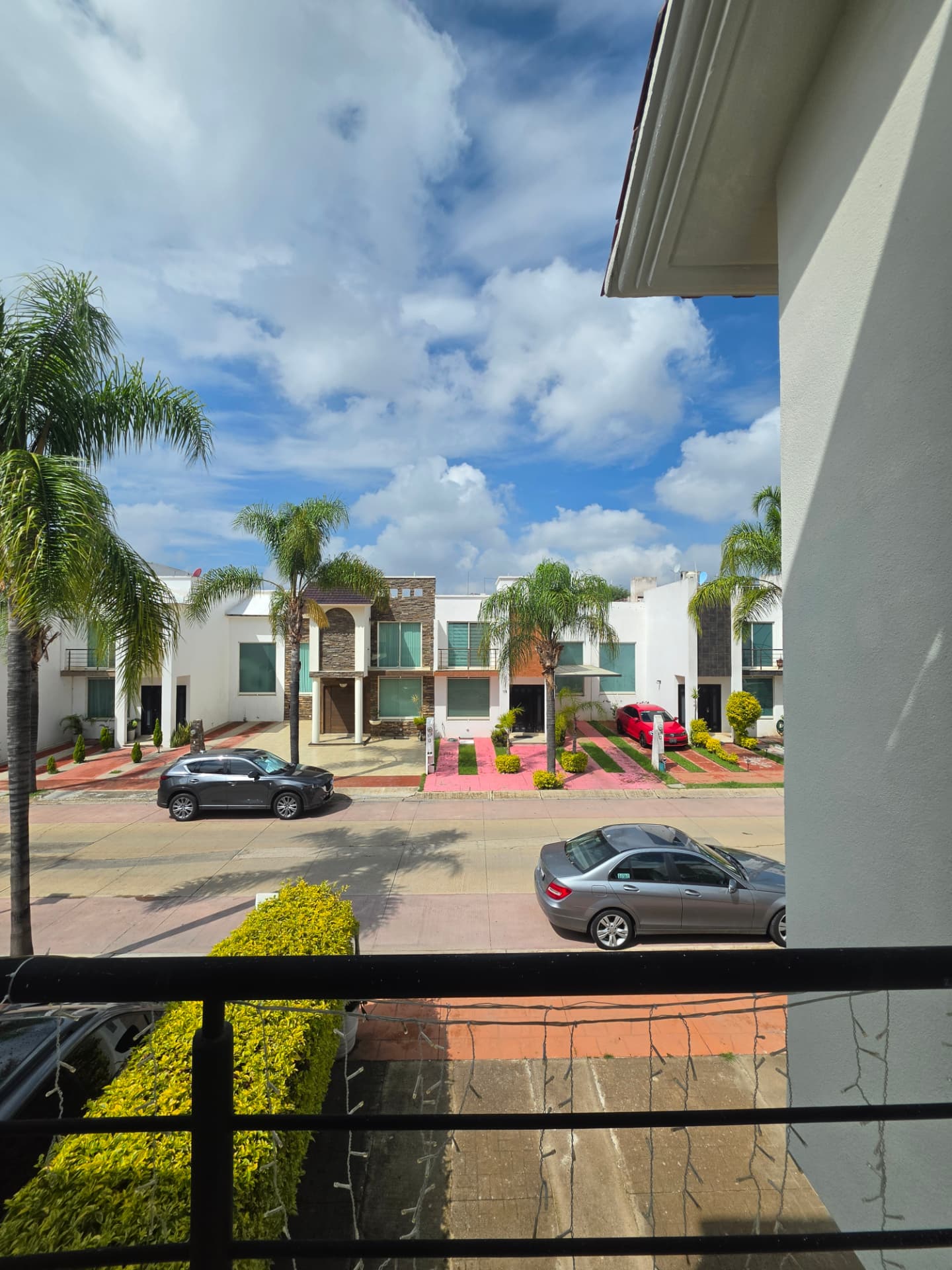 Vista desde el balcón hacia la privada con palmeras