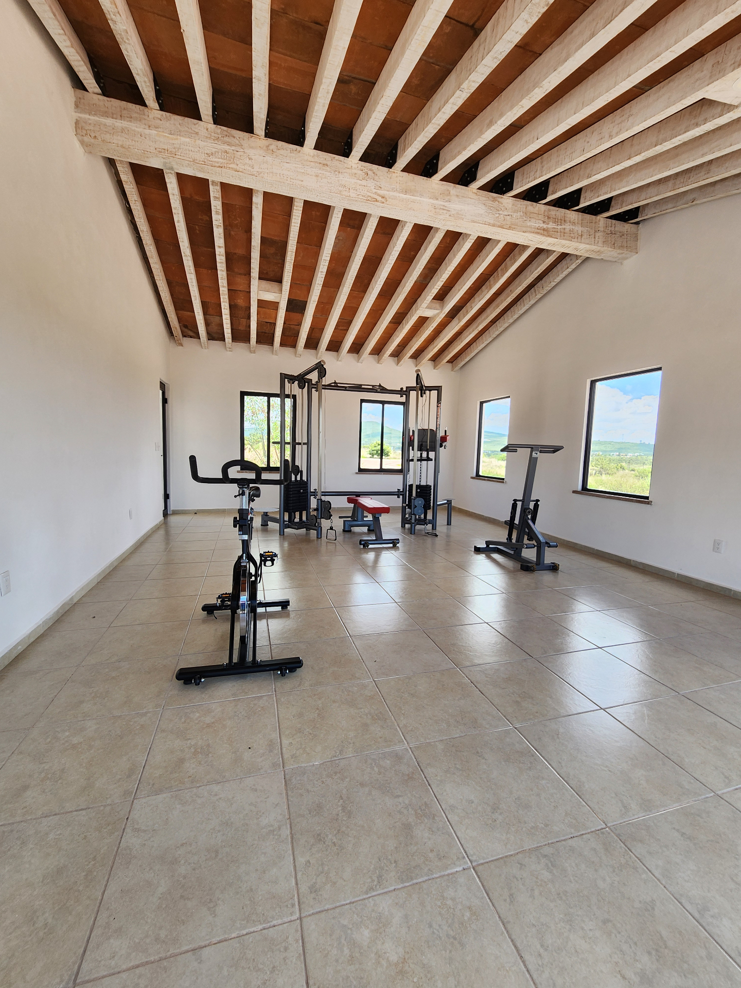 Gimnasio del desarrollo