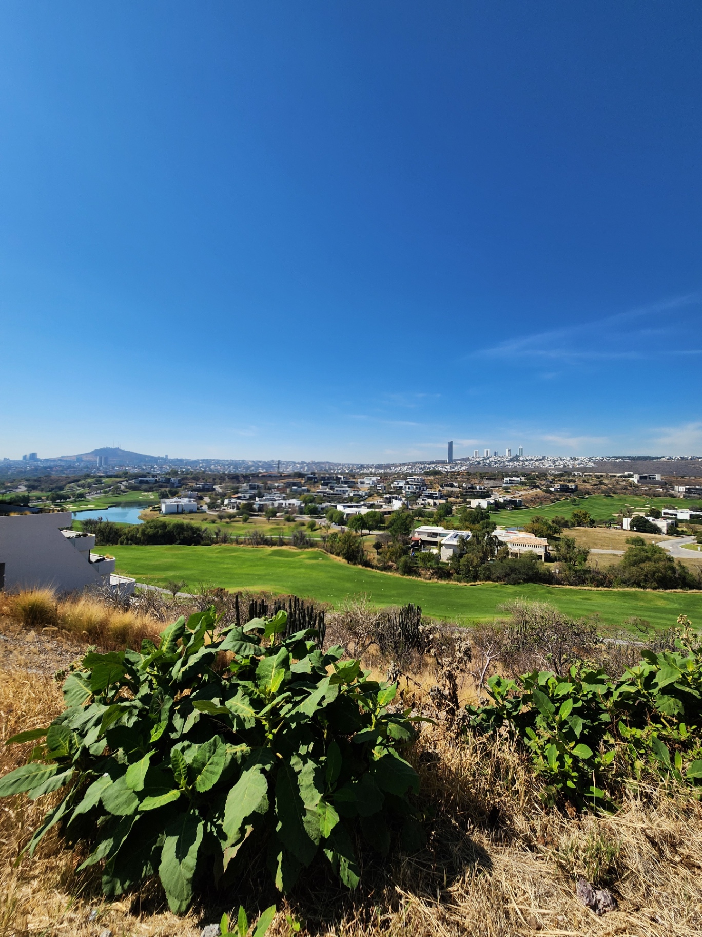 Vista panorámica desde el terreno