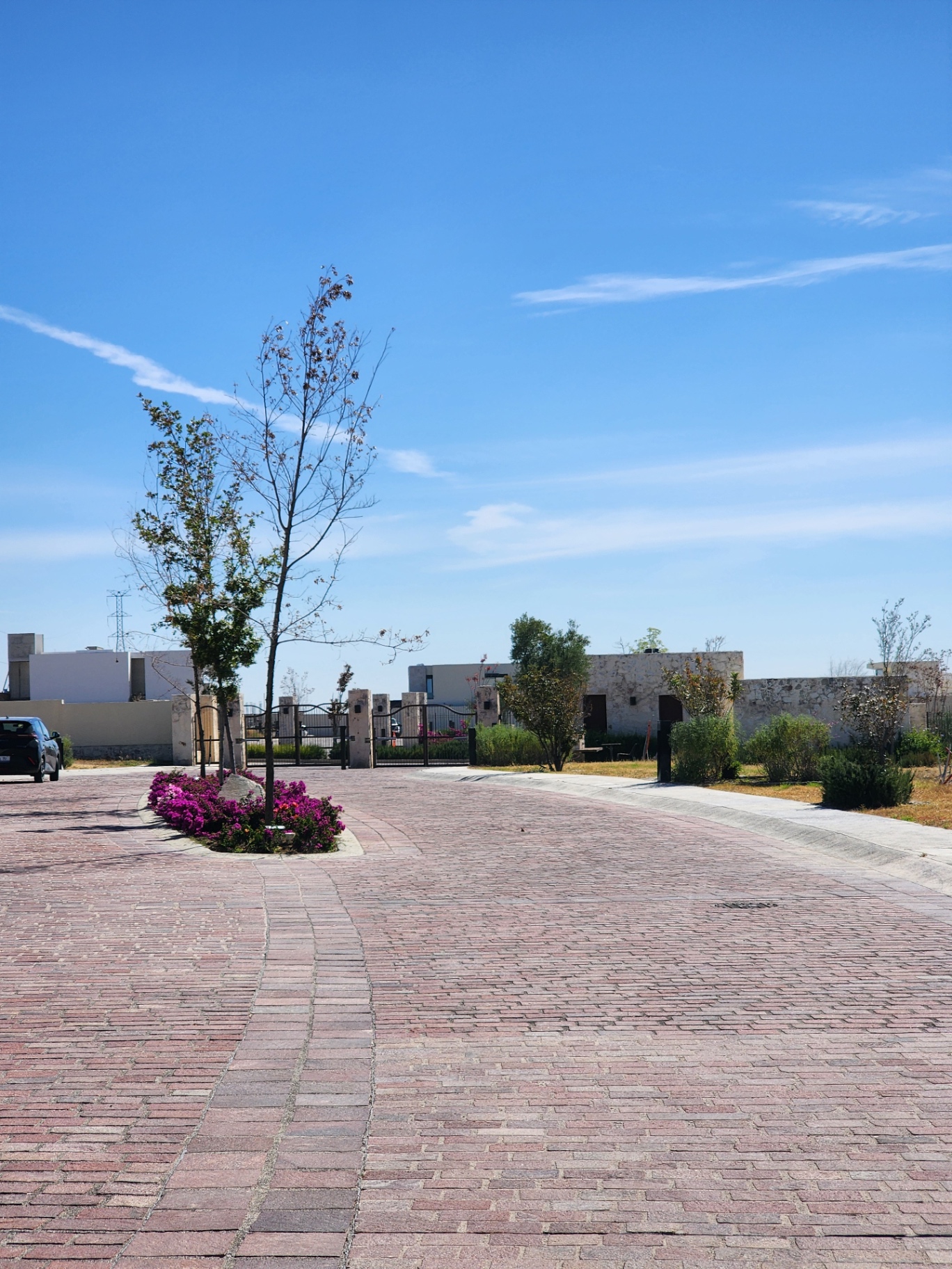Acceso interior con bugambilias