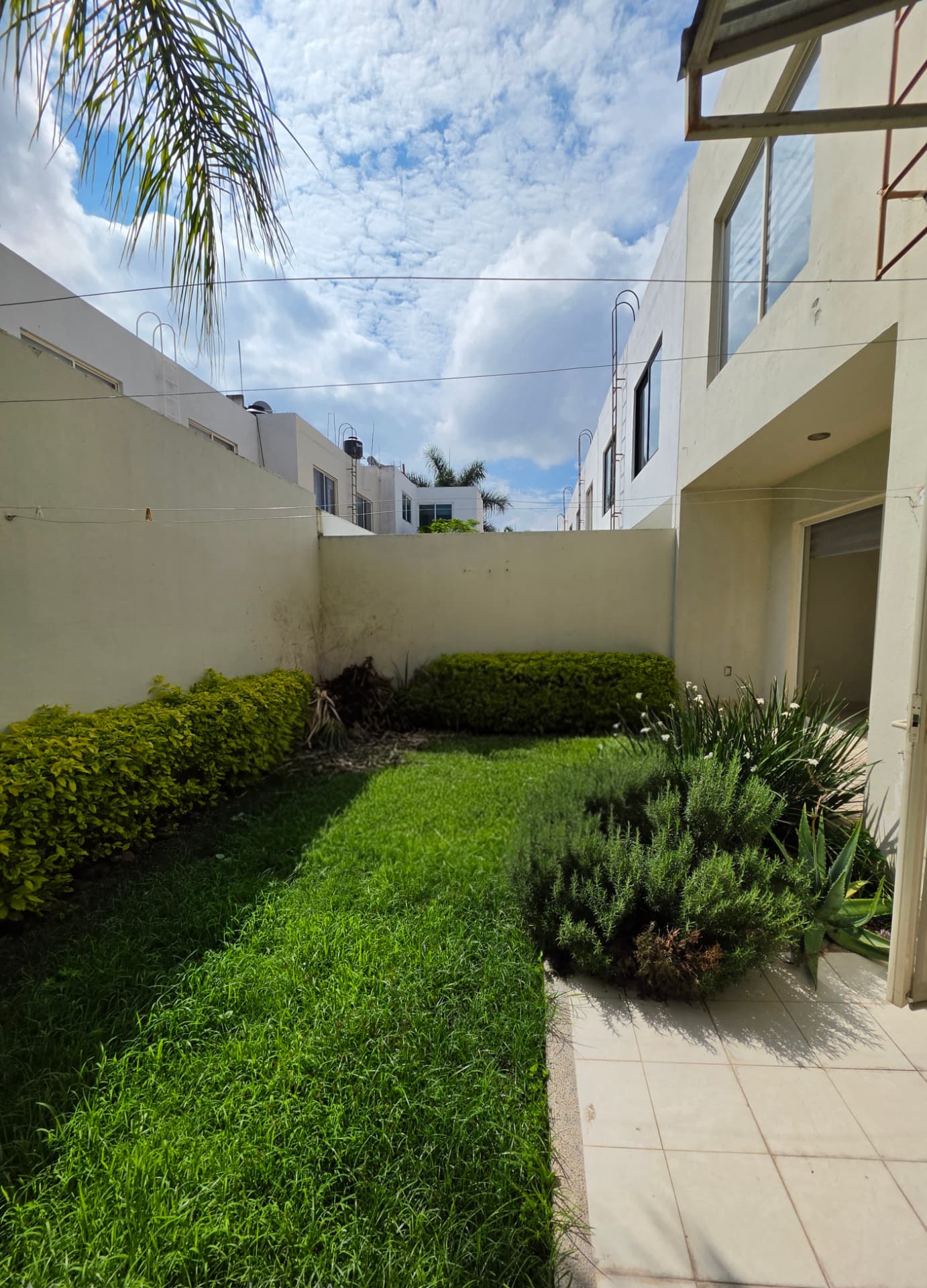 Jardín posterior con pasto natural, jardineras y acceso desde la estancia