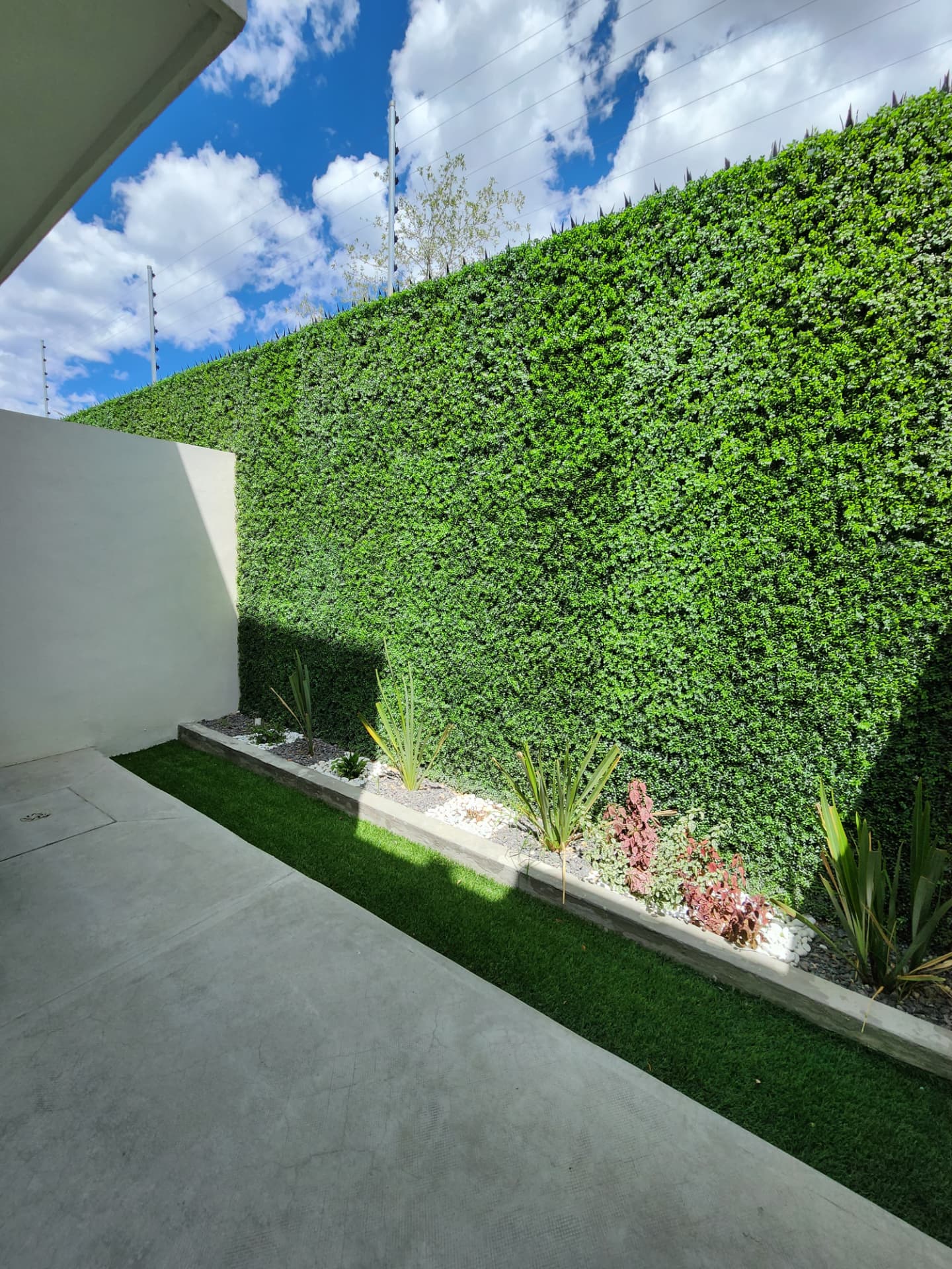 Patio de servicio con muro verde y jardinera
