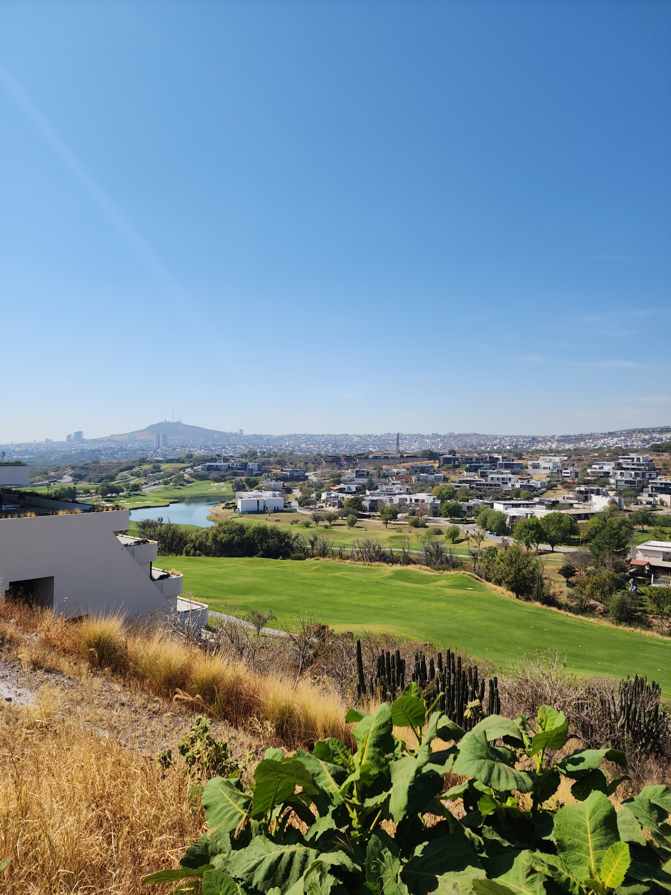 Vista abierta al campo y lago