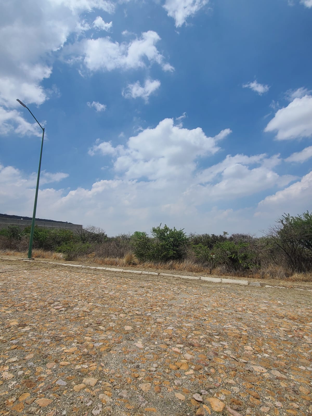 Vista del terreno