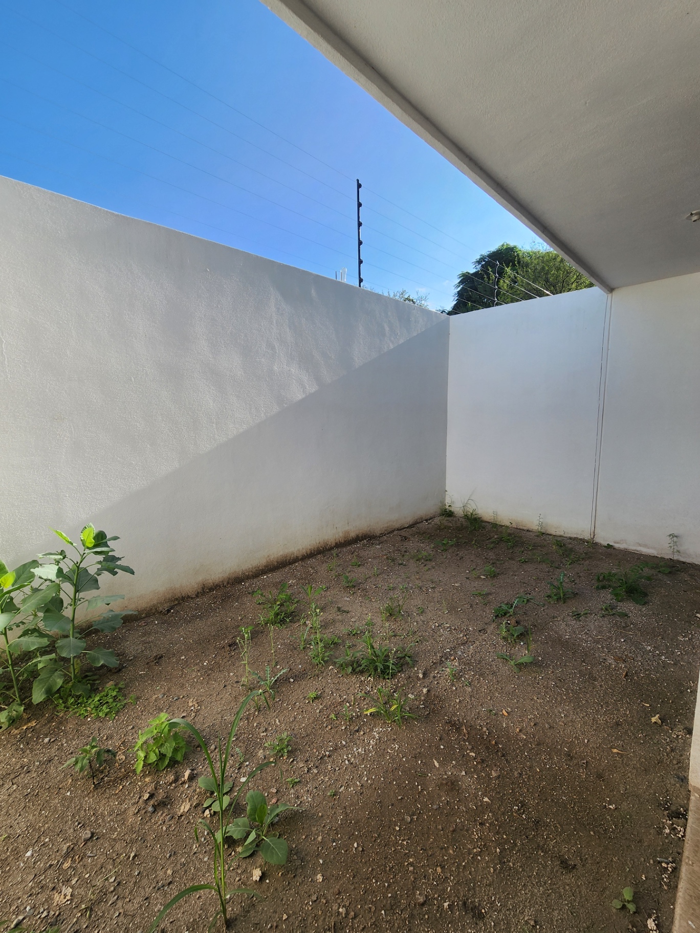 Patio trasero privado